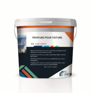 Peinture toiture