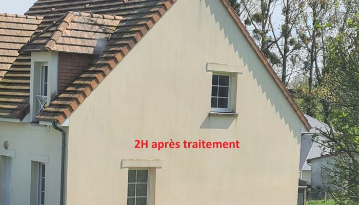 Net Façade : Nettoyant désincrustant professionnel pour façades et toitures