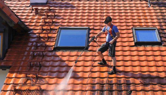 Traitement des mousses et traces vertes sur toiture